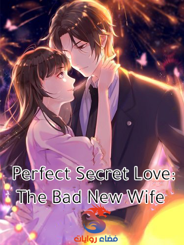 Perfect Secret Love The Bad New Wife